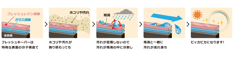フレッシュキーパーの仕組み図