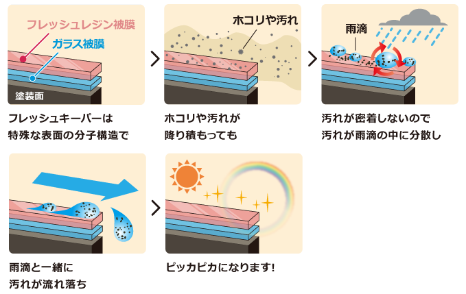 フレッシュキーパーの仕組み図